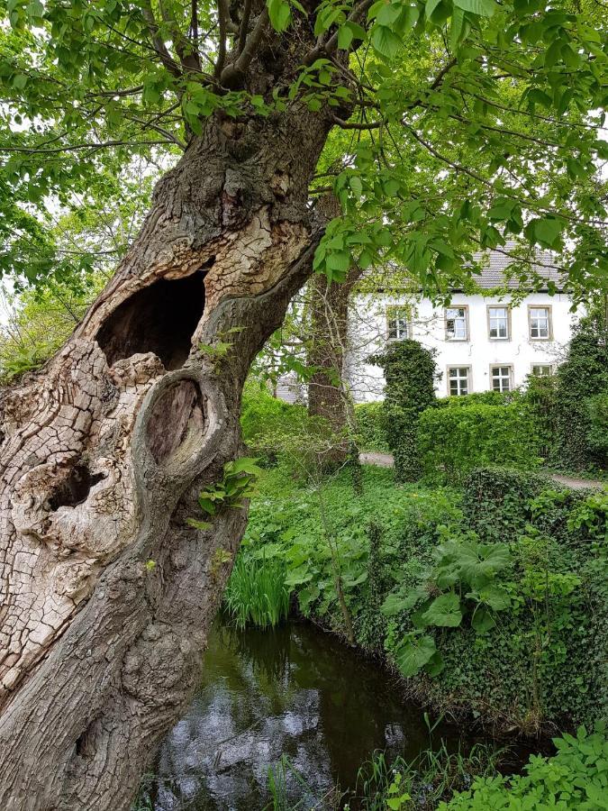 Varus Apartment *